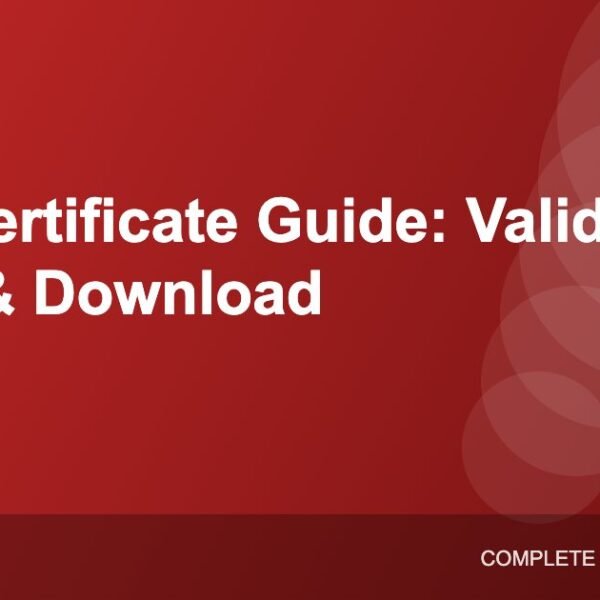 PUC Certificate Guide: Validity, Fines and How to Get or Download It